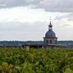 The vineyards around Château Gaudrelle