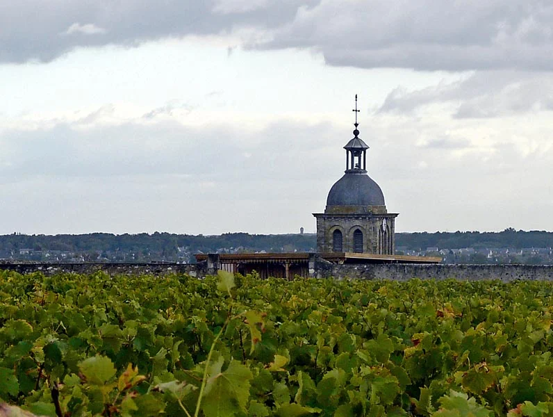 Vouvray: vines of Château Gaudrelle