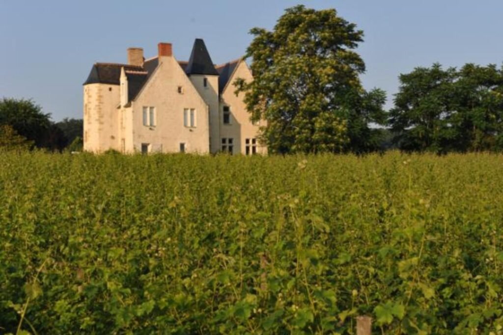 Château de la Roche en Loire Cheillé Indre-et-Loire