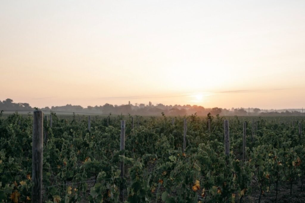 Château de Plaisance Rochefort-sur-Loire Maine-et-Loire