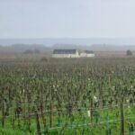 Domaine de la Chevalerie Restigné Indre-et-Loire