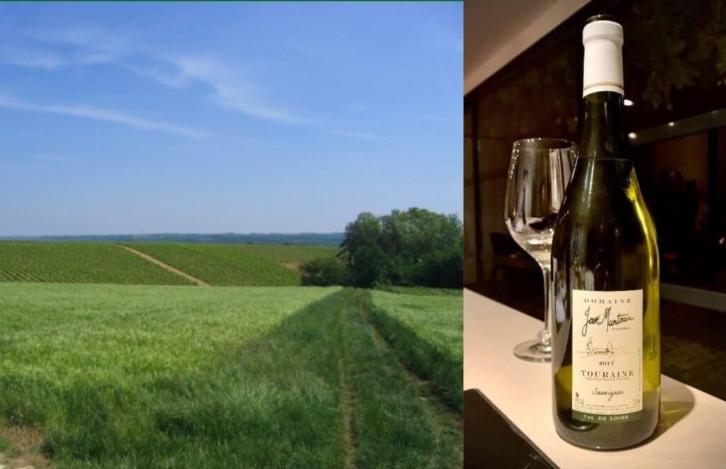 Domaine José Marteau Le Controis-en-Sologne Loir-et-Cher