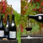 Domaine Nau Frères Coteaux-sur-Loire Indre-et-Loire