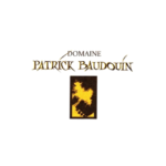 Logo Domaine Patrick Baudouin