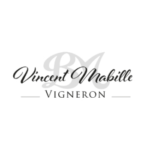 Logo Domaine Vincent Mabille