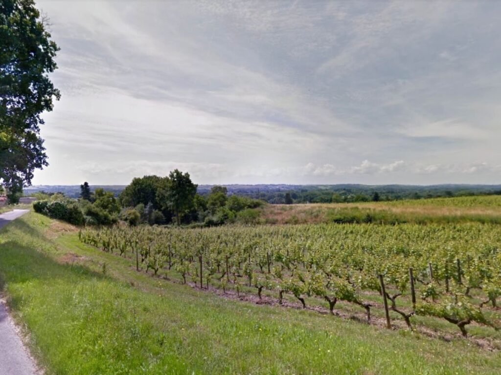 Vignoble de Savennières