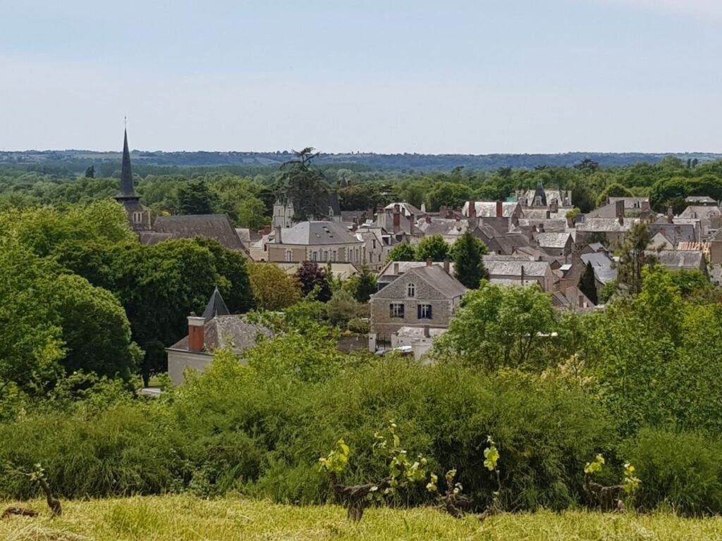 Vue sur le village de Savennières