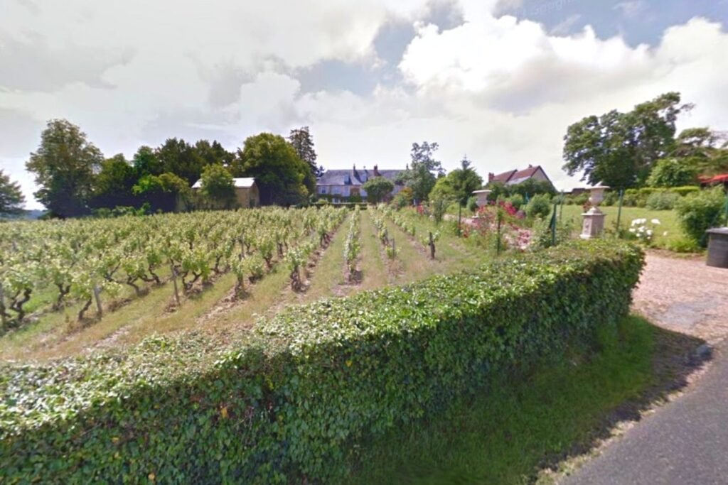 Clos de la Meslerie Vernou-sur-Brenne Indre-et-Loire