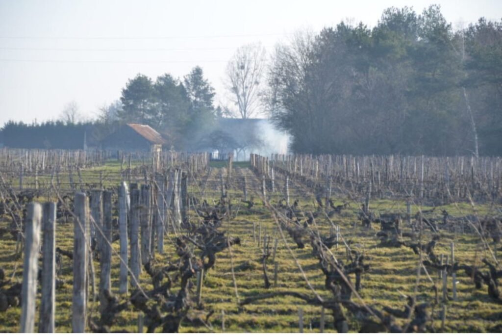 Domaine de Montcy Cormeray Loir-et-Cher