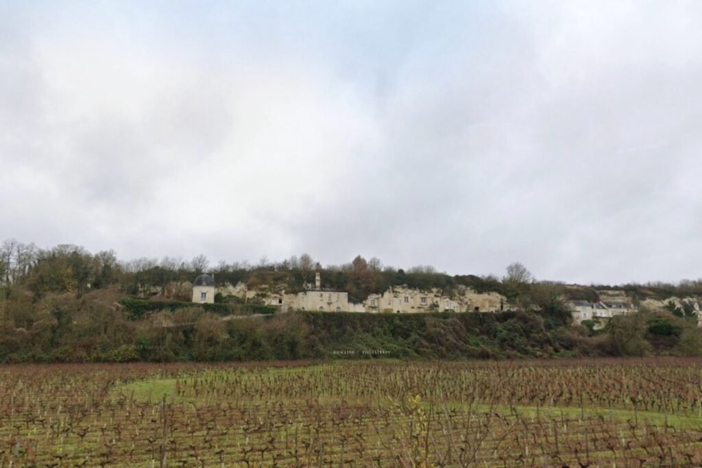 Domaine Filliatreau Turquant Maine-et-Loire