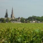 Savennières Vineyard