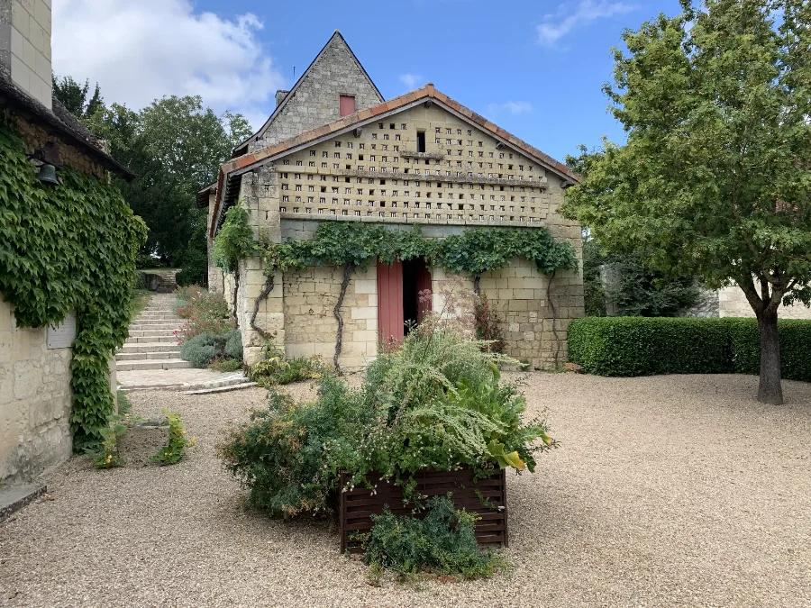 Pages and Caves: Walking with Rabelais from Devinière to Chinon’s wine tasting