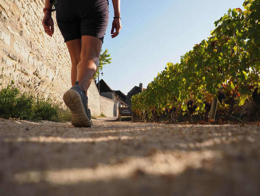Car-Free Wine Weekend in the Loire Valley: A Slow Travel Itinerary