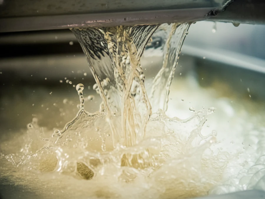 White Wine Production: The method explained in 6 steps