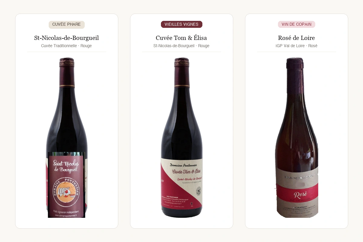 Domaine Pontonnier - Photo 2