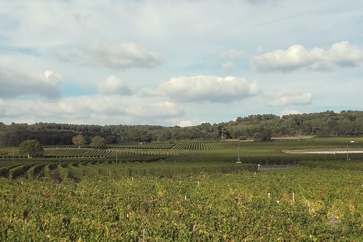 Domaine Pontonnier - Photo 4