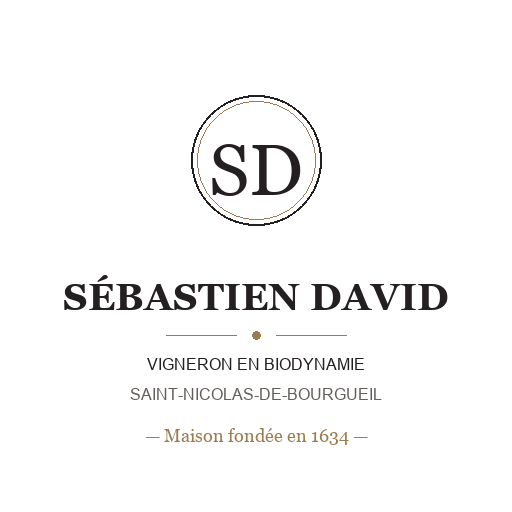 Sébastien David