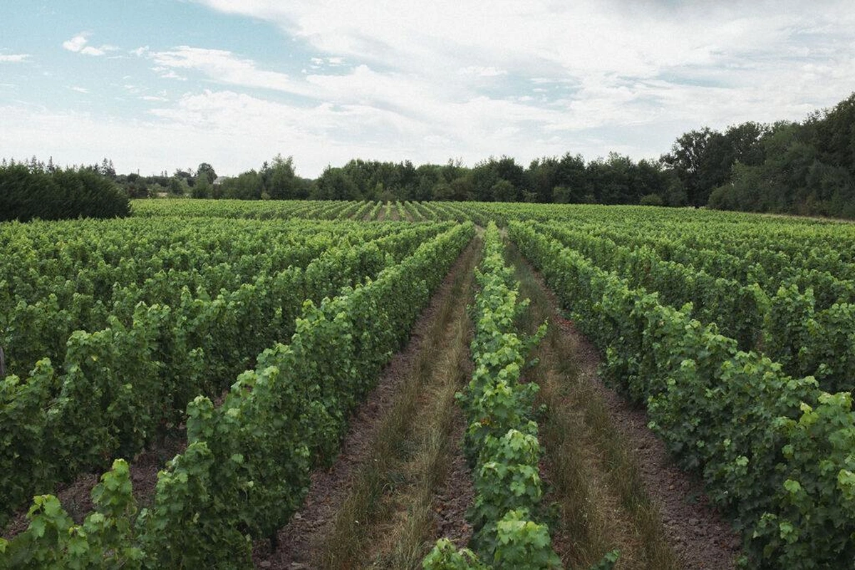 Domaine de Veilloux - Photo 1