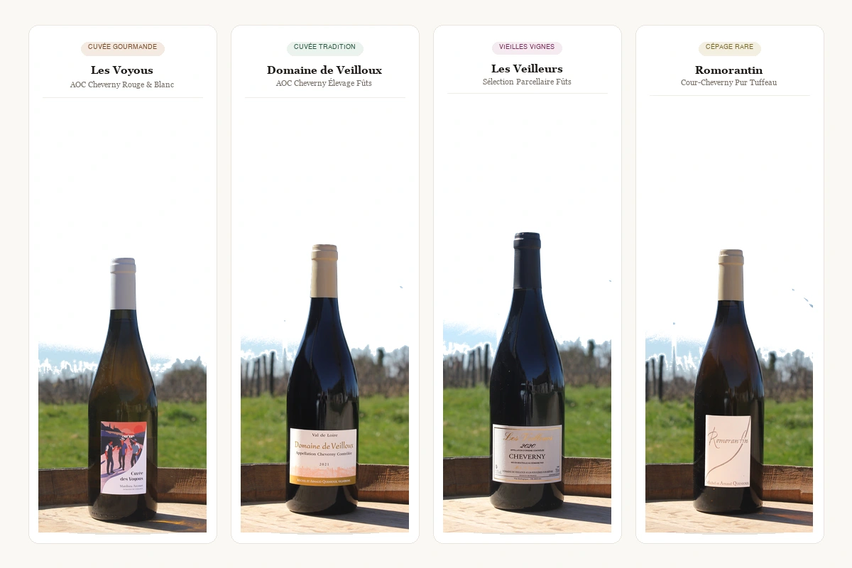 Domaine de Veilloux - Photo 2
