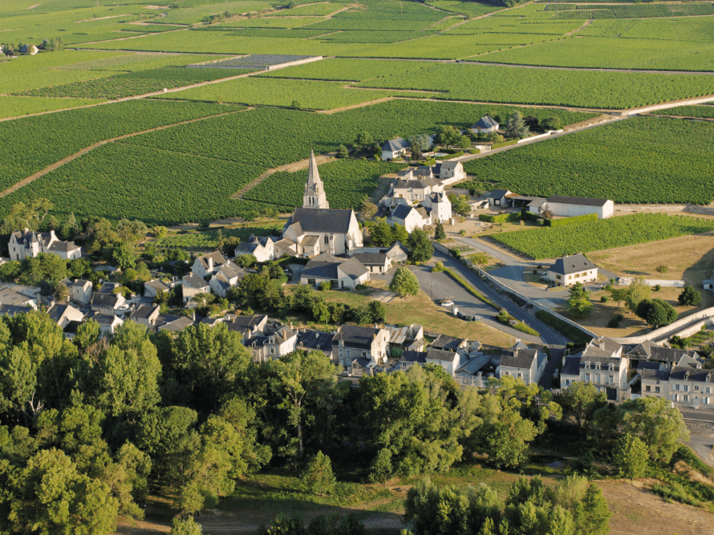 Souzay Champigny, "capitale" de l'appellation Saumur Champigny (7kms au Sud-Est de Saumur)