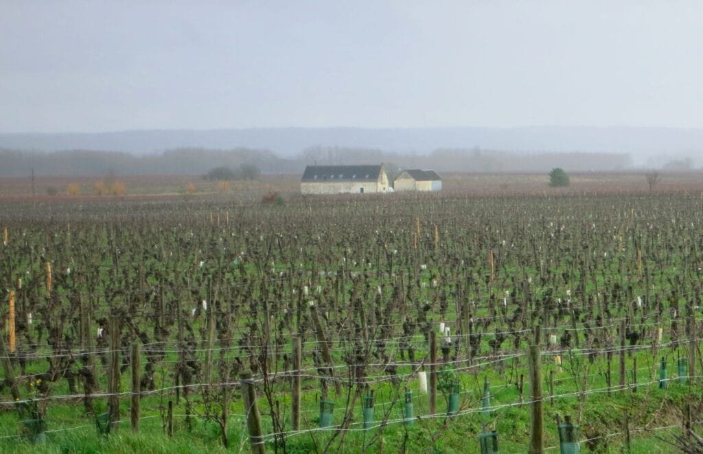 Domaine de la Chevalerie - Photo 2