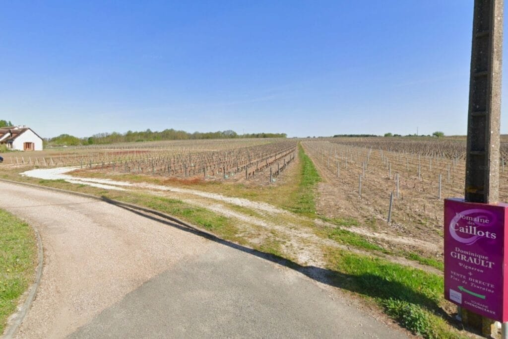 Domaine des Caillots Noyers-sur-Cher Loir-et-Cher