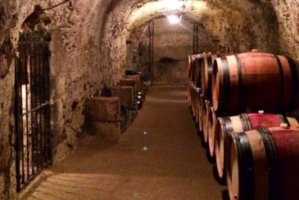 Domaine des roches neuves - Photo 4