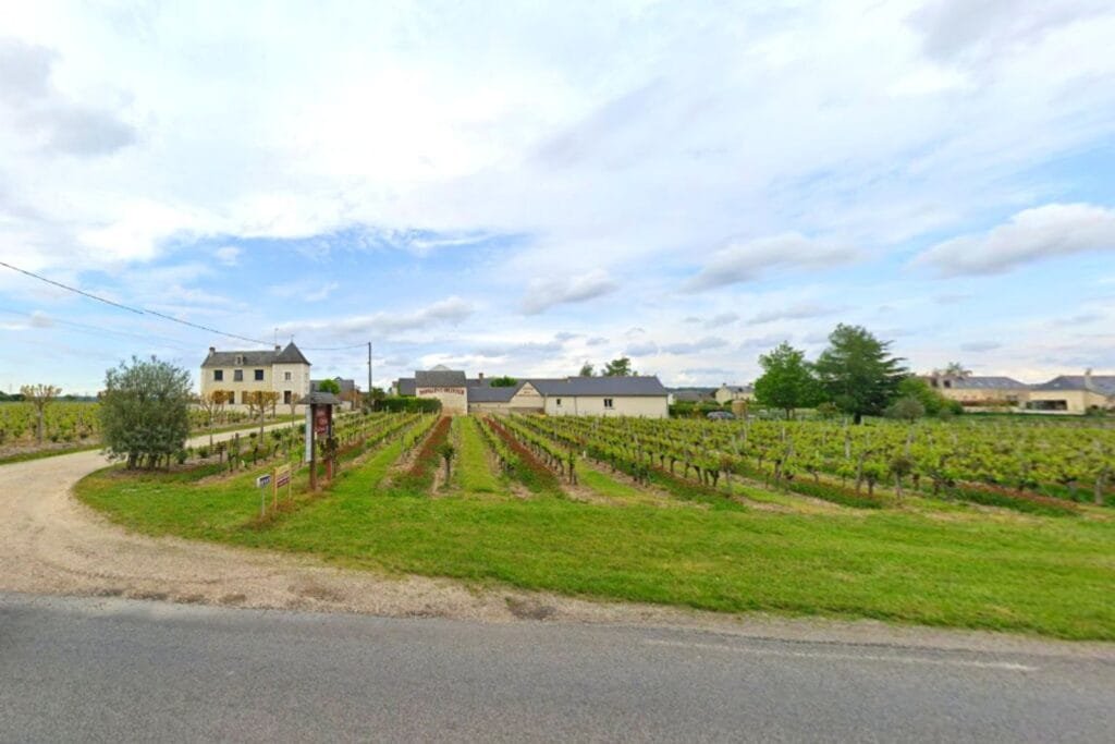 Domaine Olivier Saint Nicolas de Bourgueil Indre-et-Loire