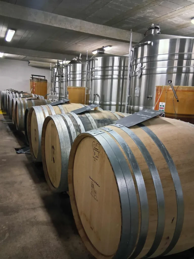 Domaine la Melotine - Photo 2