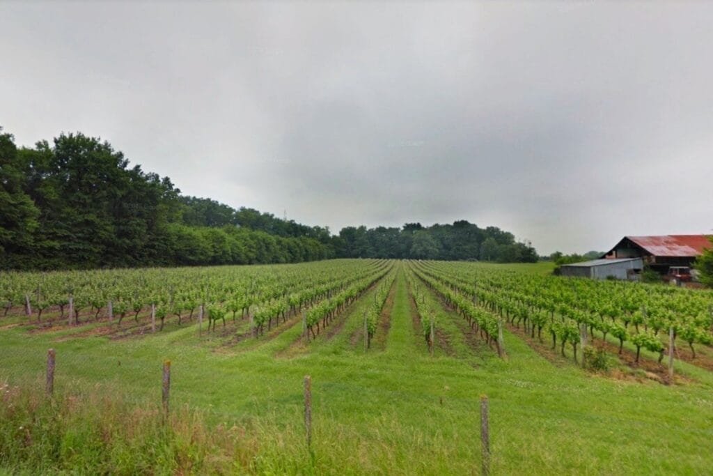 Domaine Daridan - Photo 2