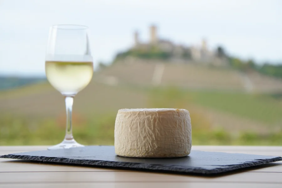 Accords mets-vins : quels vins de Loire avec les fromages de chèvre ?