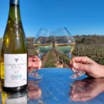domaine de la poilane coteaux du layon