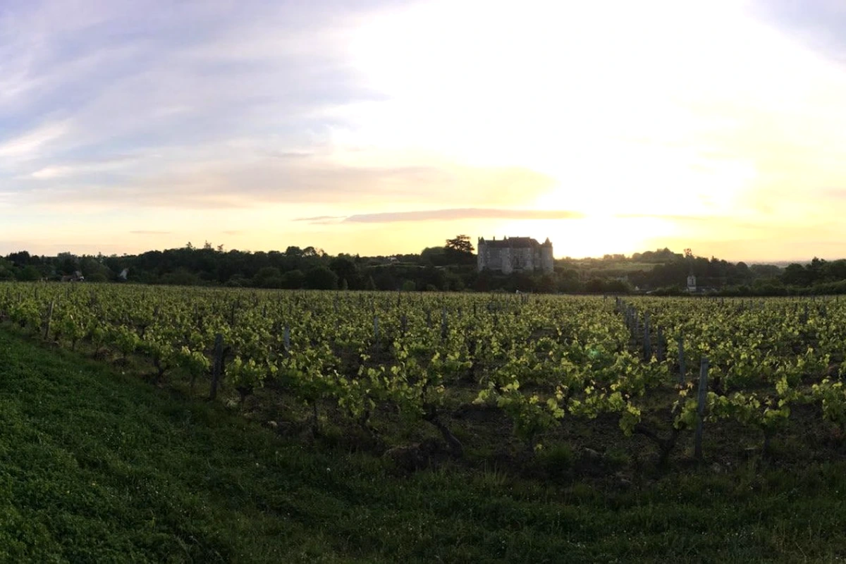 Domaine Delalle - Photo 3