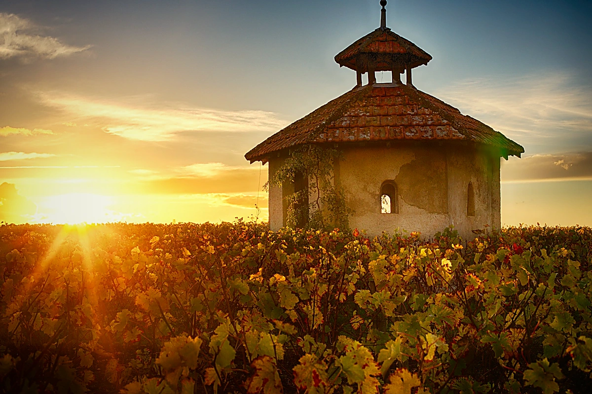 Domaine Delalle - Photo 4