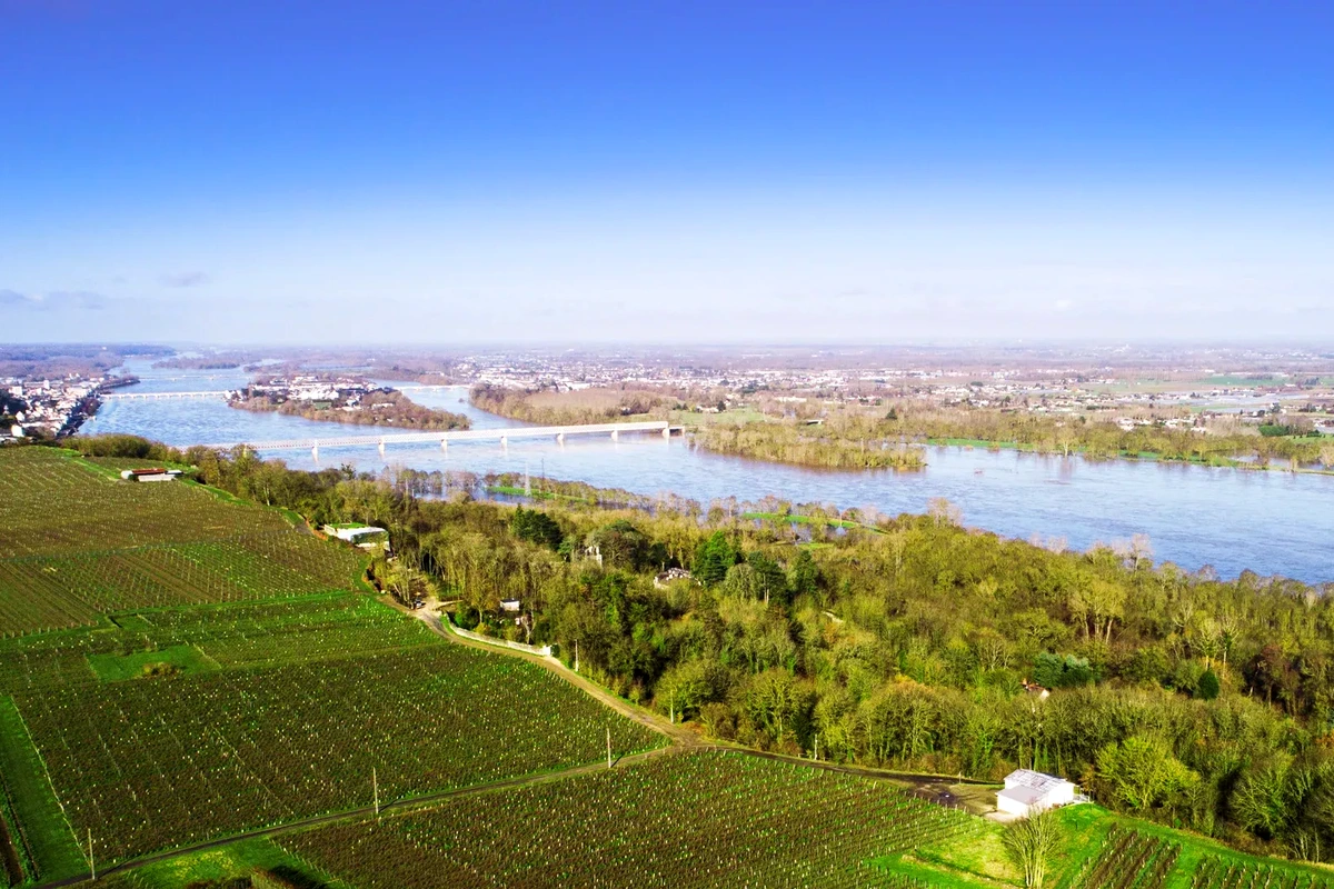 Vignoble Vadé - Photo 4