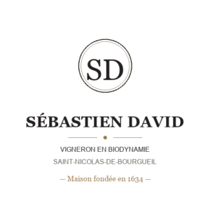 Sébastien David