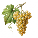 Romorantin
