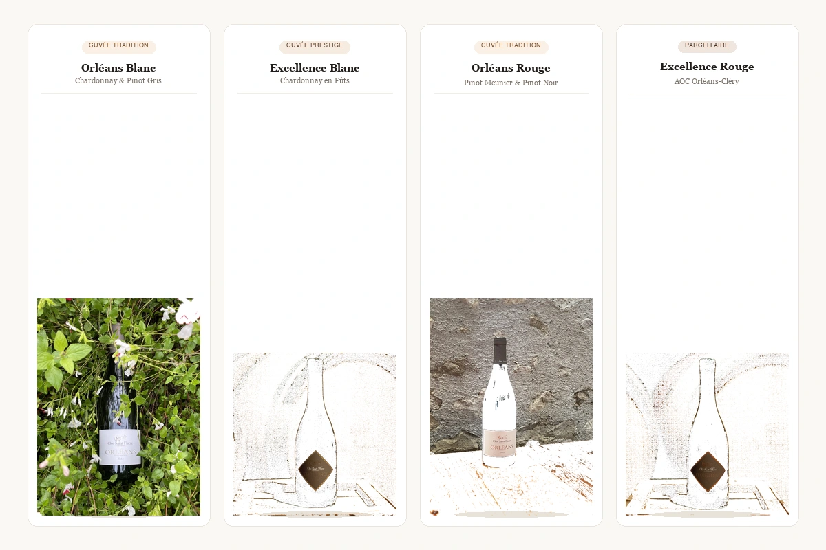 Clos Saint Fiacre - Photo 2