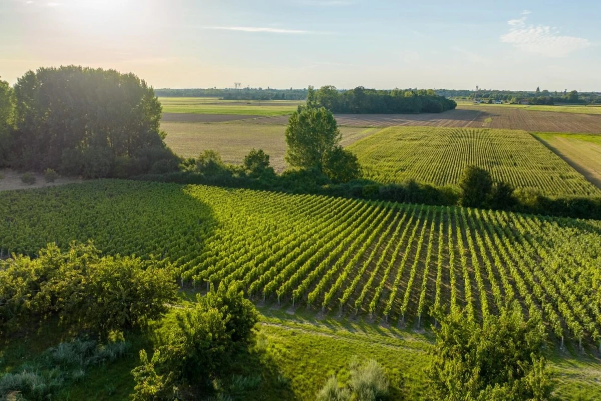 Clos Saint Fiacre - Photo 4